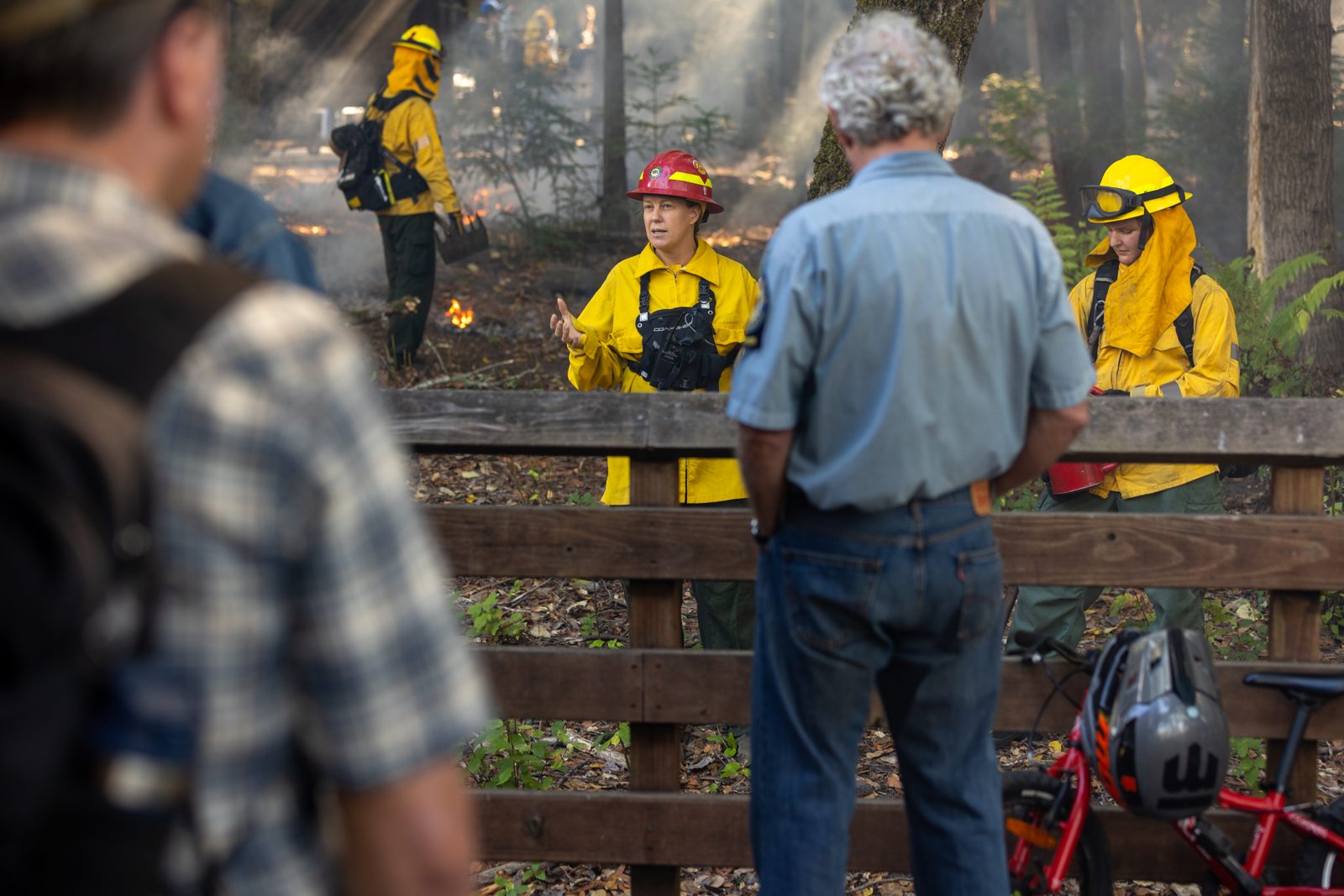 Visitors watch from a fence as a State Parks fire crew in yellow gear prepares the burn unit among redwoods.